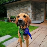arlo-3