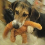 Shay and toy