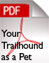 pet_pdf