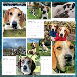 577826546_842631284812425_4426157514552747849_n-1