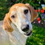 buster-2
