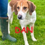 dan