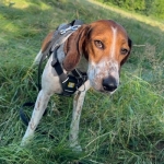 maggie-2